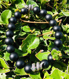 Black Onyx with Metal snakes 🐍 Bracelet